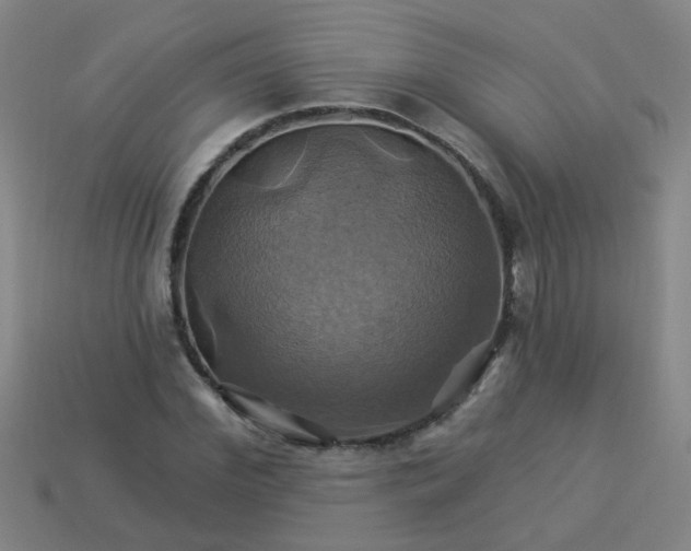 X0000114100972200910191639