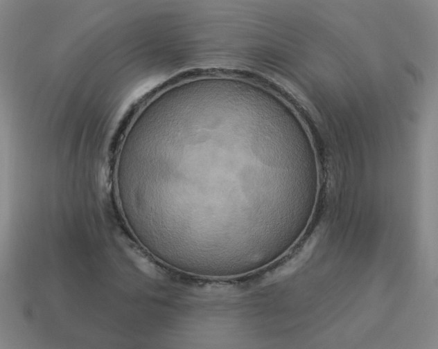 X0000114100974200910191639