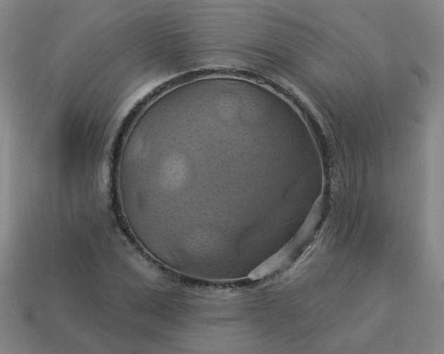 X0000114100975200910191639