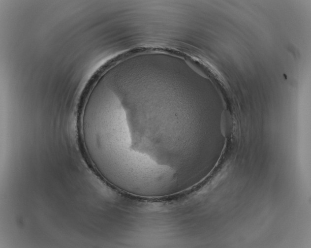 X0000114100976200910191639