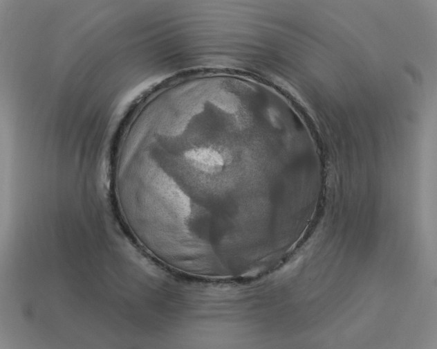 X0000114100979200910191639