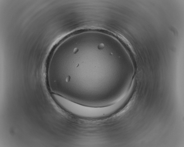 X0000114100981200910191638