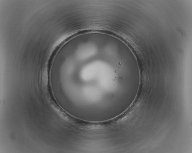 X0000114100982200910191638