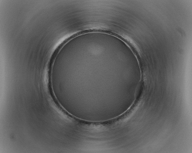 X0000114100983200910191638