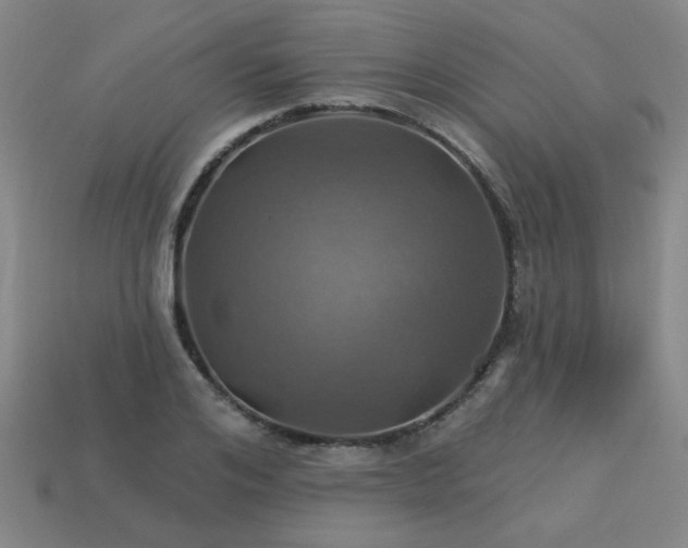 X0000114100984200910191638