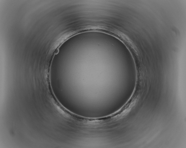 X0000114100985200910191638