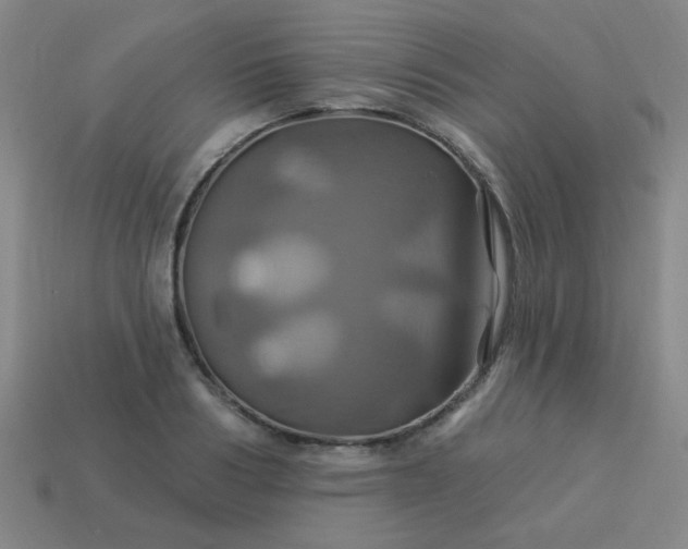 X0000114100986200910191638