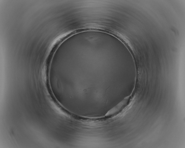 X0000114100987200910191638