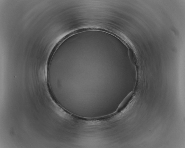 X0000114100988200910191638