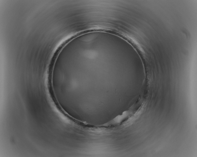 X0000114100991200910191638