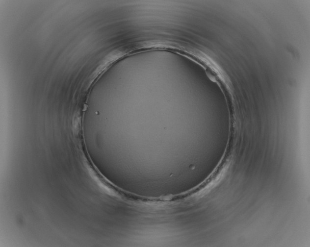 X0000114100993200910191638