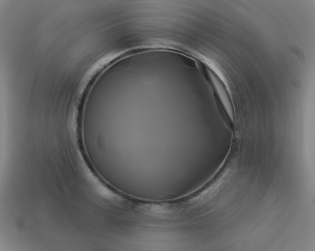 X0000114100995200910191638