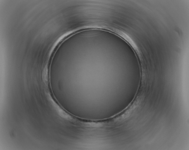 X0000114100996200910191638