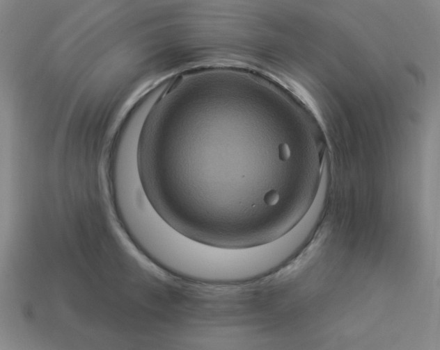 X0000114100997200910191638