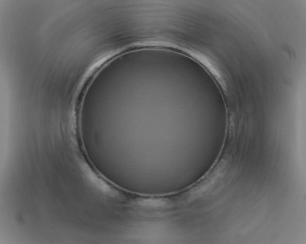 X0000114100998200910191638