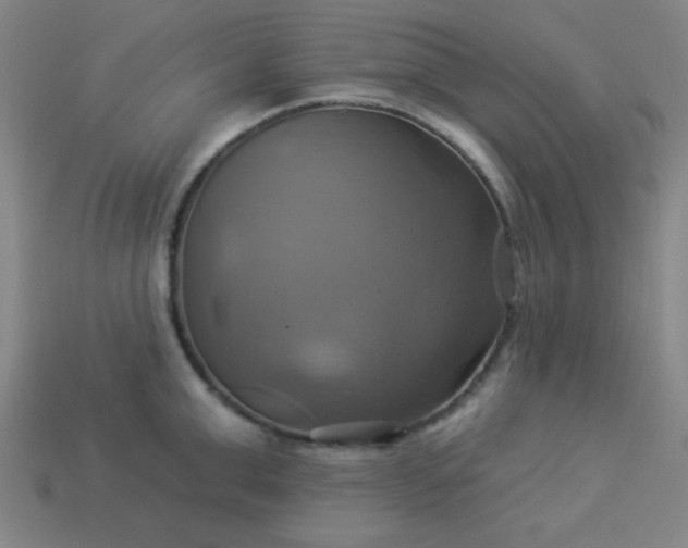 X0000114100999200910191638