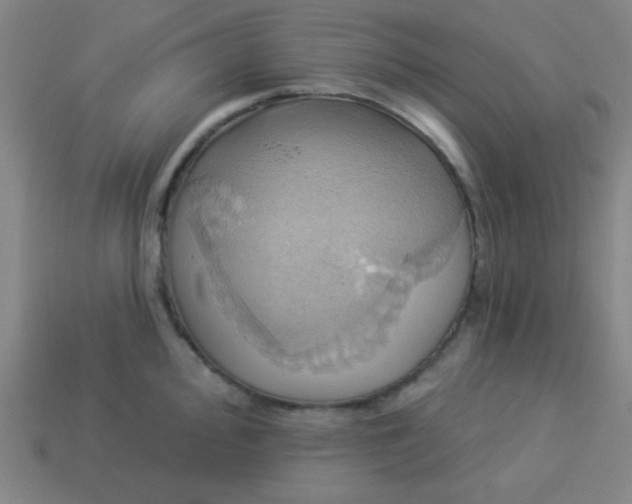 X0000114101000200910191638