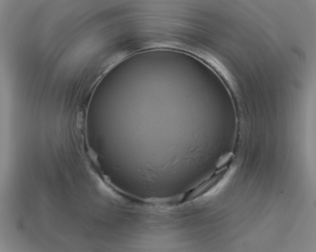 X0000114101001200910191638