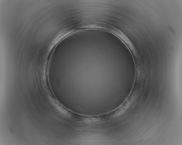 X0000114101002200910191638