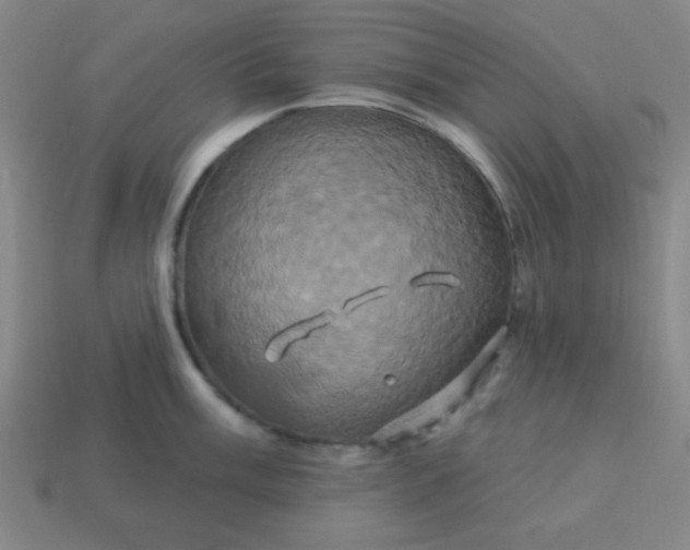 X0000114101003200910191638