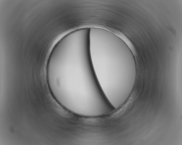 X0000114101004200910191638