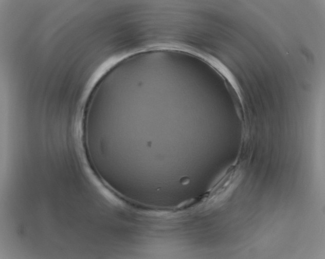 X0000114101005200910191638