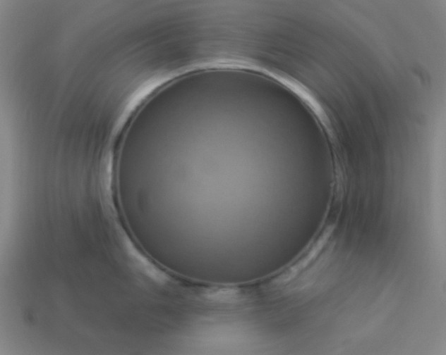 X0000114101006200910191638