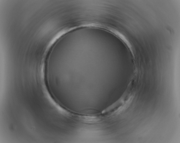 X0000114101007200910191638