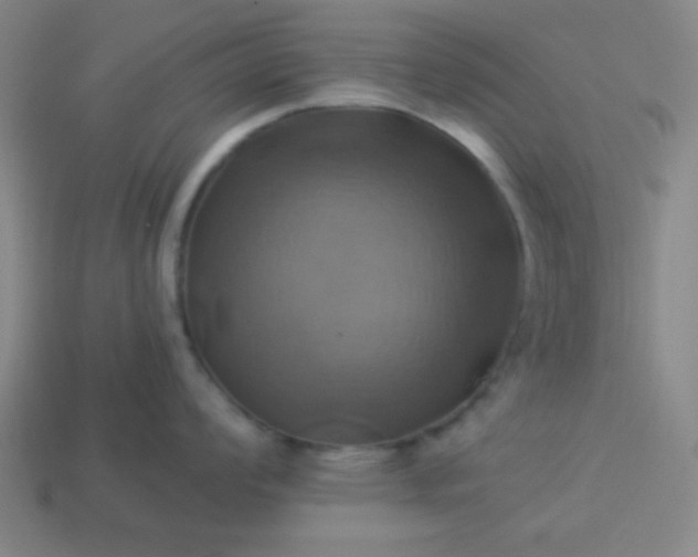 X0000114101008200910191638