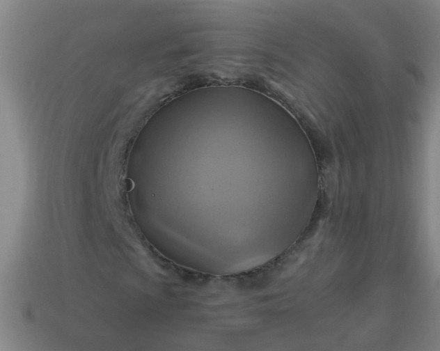 X0000114101009200910191638