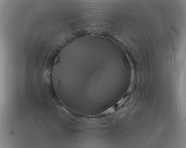 X0000114101010200910191638