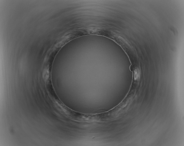 X0000114101011200910191638