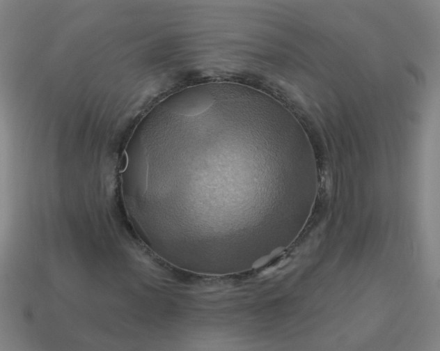 X0000114101012200910191638