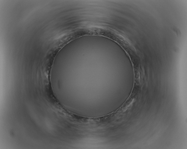 X0000114101013200910191638