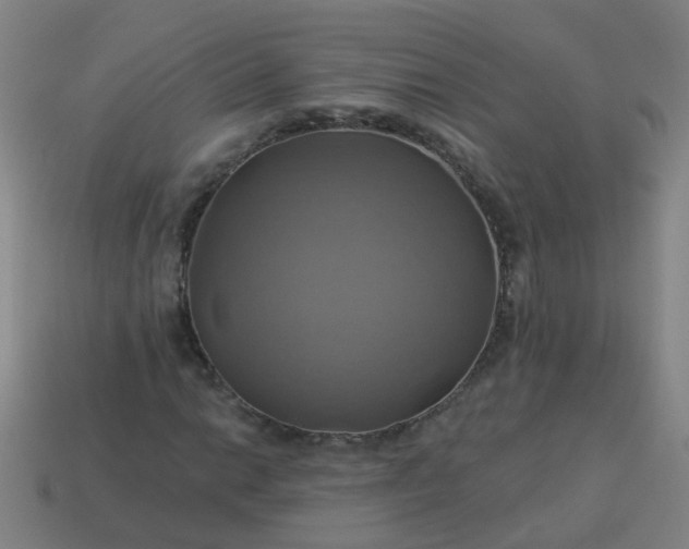 X0000114101014200910191638