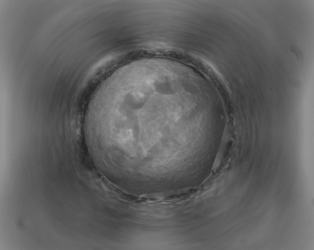 X0000114101016200910191638