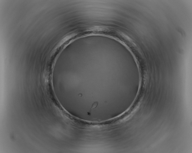 X0000114101017200910191638