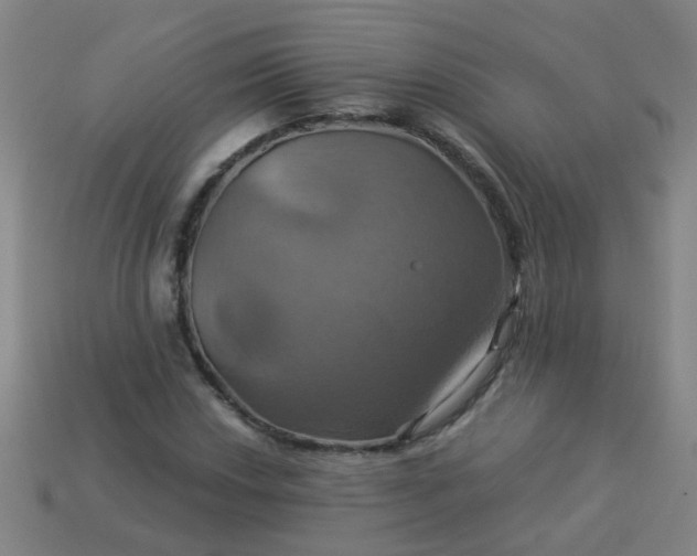 X0000114101018200910191638