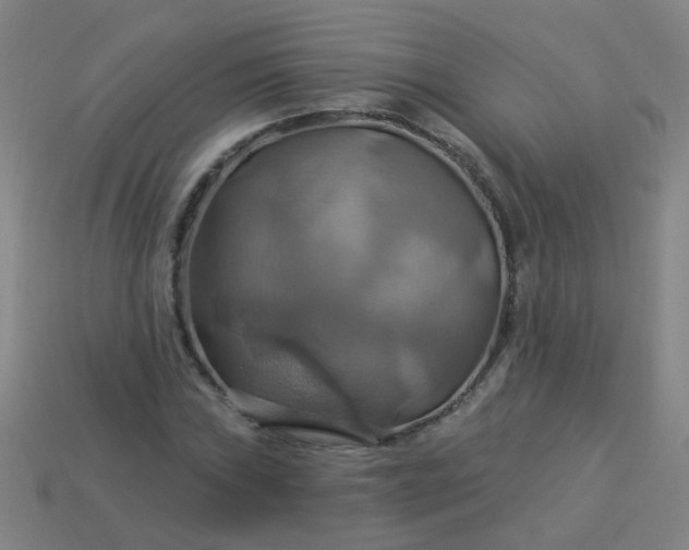 X0000114101019200910191638