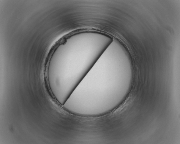 X0000114101020200910191638