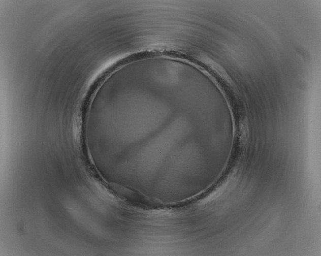 X0000114101021200910191638