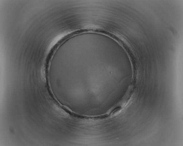 X0000114101022200910191638