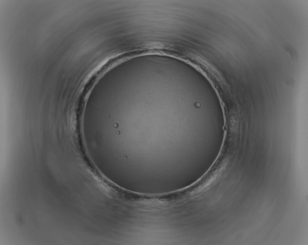 X0000114101023200910191638