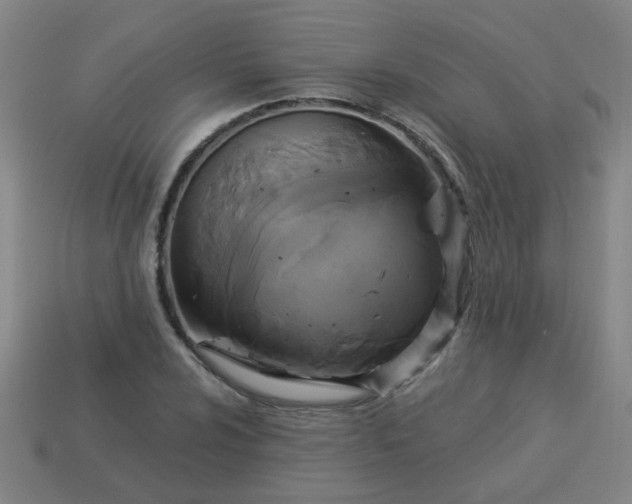 X0000114101024200910191638