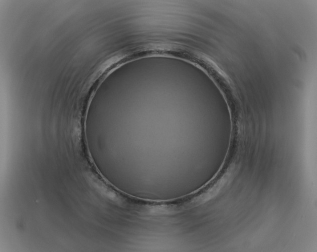 X0000114101025200910191638