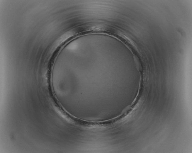 X0000114101026200910191638