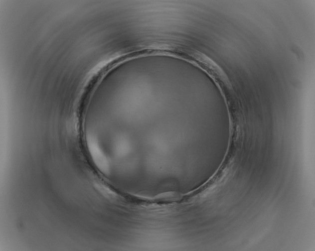 X0000114101027200910191638