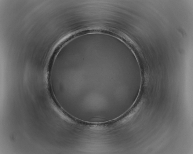 X0000114101029200910191638