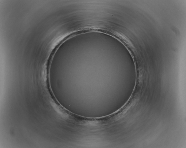 X0000114101031200910191638