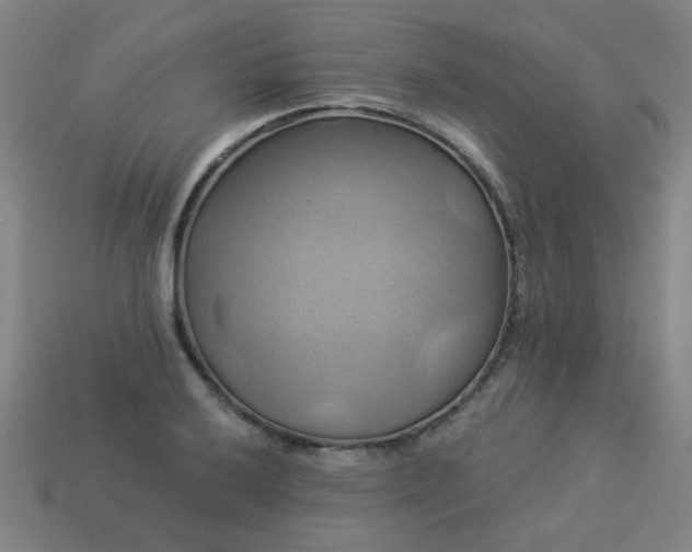 X0000114101032200910191638